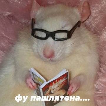 http://upforme.ru/uploads/001a/e3/bd/39/t194462.jpg
