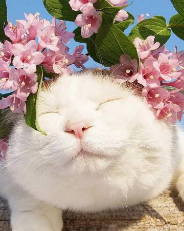 http://upforme.ru/uploads/001a/e3/bd/8/t607291.jpg