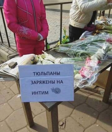 http://upforme.ru/uploads/001a/e3/bd/8/t799357.jpg