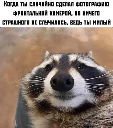 http://upforme.ru/uploads/001a/e3/bd/8/t843196.jpg