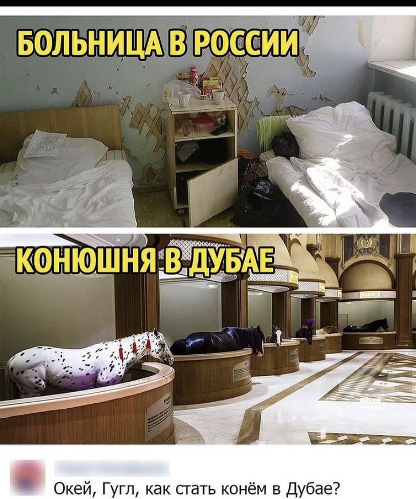 http://upforme.ru/uploads/001a/e3/bd/9/932981.jpg
