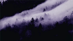 http://upforme.ru/uploads/001a/e4/67/17/426871.gif