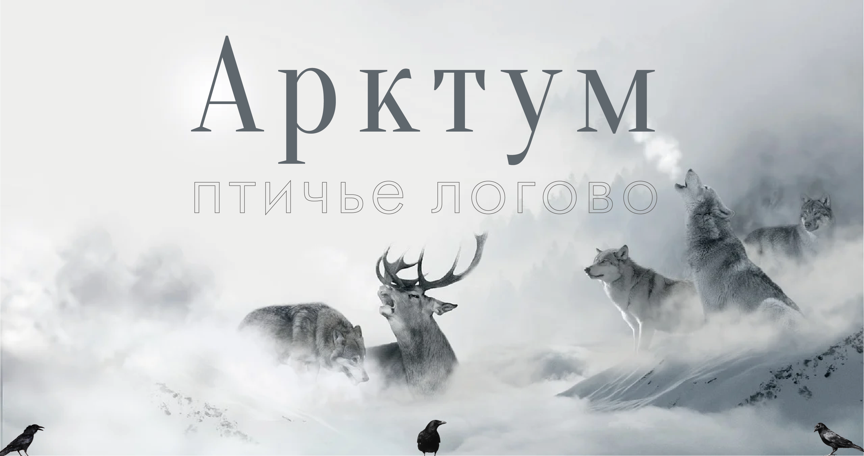 http://upforme.ru/uploads/001a/e4/67/18/354610.png