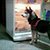 http://upforme.ru/uploads/001a/e4/67/18/939743.gif