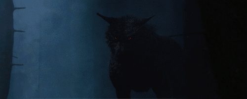 http://upforme.ru/uploads/001a/e4/67/2/812070.gif
