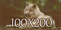 http://upforme.ru/uploads/001a/e4/67/2/912034.jpg