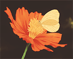 http://upforme.ru/uploads/001a/e4/67/4/725826.gif