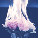 http://upforme.ru/uploads/001a/e4/67/7/806518.gif