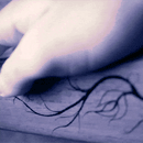 http://upforme.ru/uploads/001a/e4/67/7/933005.gif