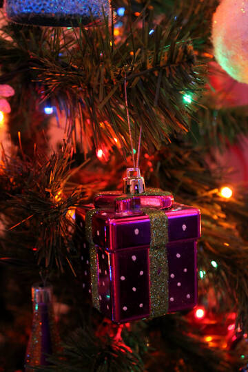 http://upforme.ru/uploads/001a/e4/67/7/t975780.jpg