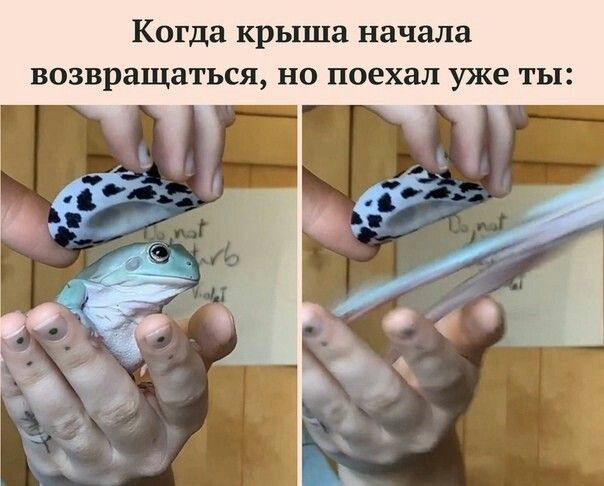 http://upforme.ru/uploads/001a/e5/e0/11/276671.jpg