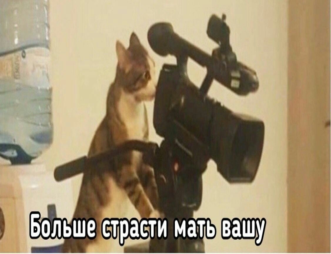 http://upforme.ru/uploads/001a/e5/e0/11/307974.jpg