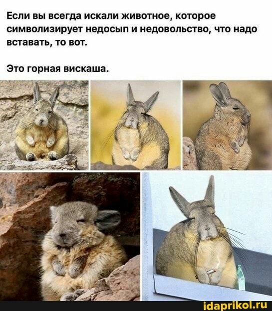 http://upforme.ru/uploads/001a/e5/e0/11/346531.jpg
