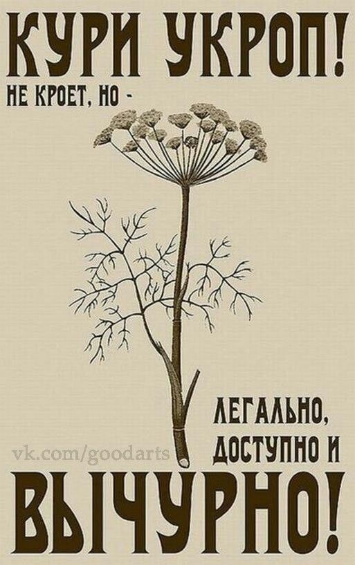 http://upforme.ru/uploads/001a/e5/e0/11/469057.jpg