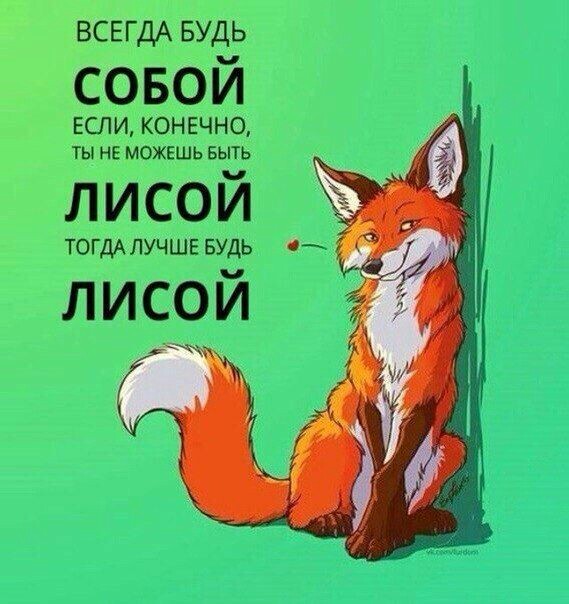 http://upforme.ru/uploads/001a/e5/e0/11/58966.jpg