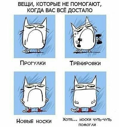 http://upforme.ru/uploads/001a/e5/e0/11/641934.jpg