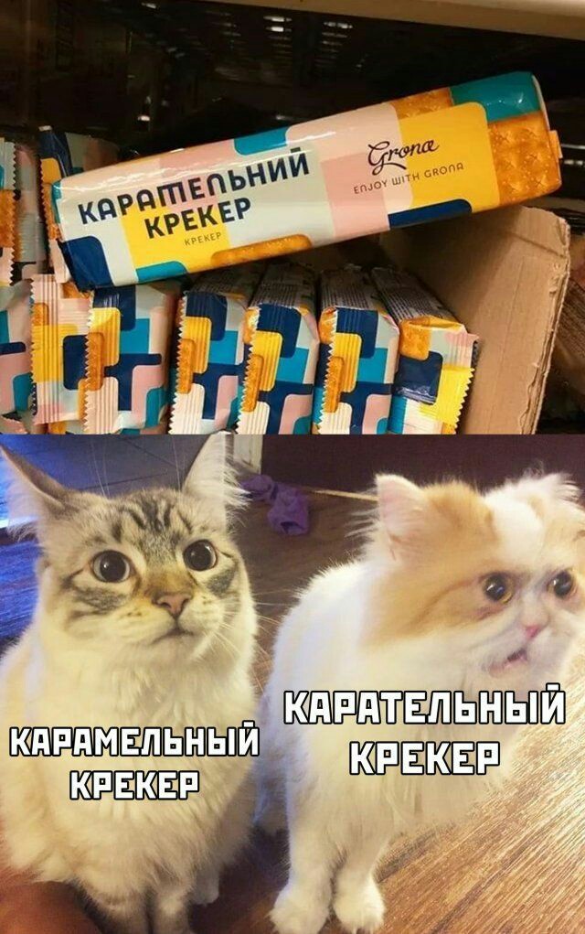 http://upforme.ru/uploads/001a/e5/e0/11/799423.jpg