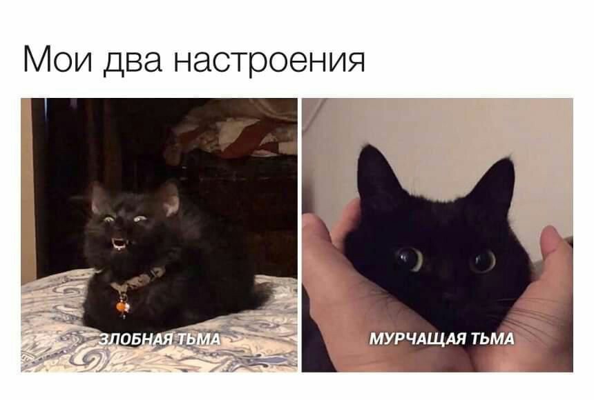 http://upforme.ru/uploads/001a/e5/e0/11/871058.jpg