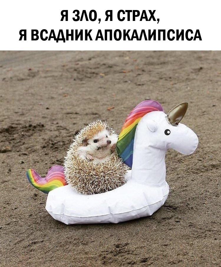 http://upforme.ru/uploads/001a/e5/e0/12/980714.jpg