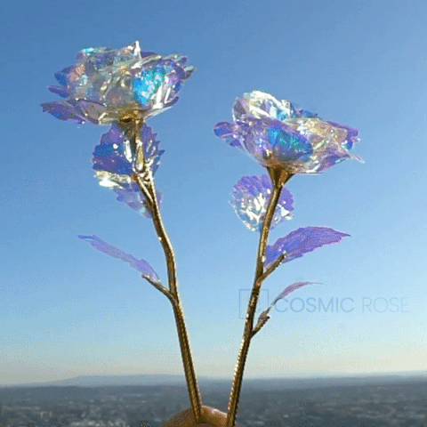 http://upforme.ru/uploads/001a/e5/e0/21/529864.gif