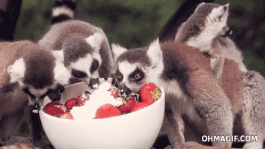 http://upforme.ru/uploads/001a/e5/e0/21/635923.gif
