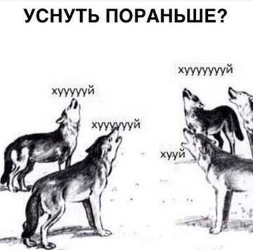 http://upforme.ru/uploads/001a/e5/e0/4/t10627.jpg