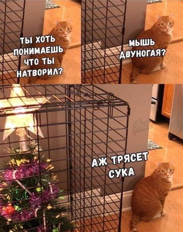 http://upforme.ru/uploads/001a/e5/e0/4/t186005.png