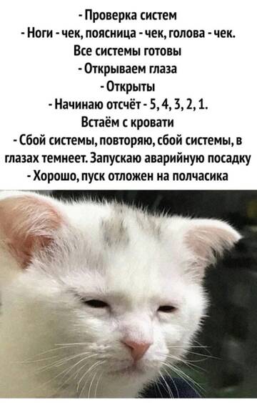 http://upforme.ru/uploads/001a/e5/e0/4/t292621.jpg
