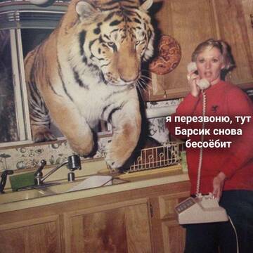 http://upforme.ru/uploads/001a/e5/e0/4/t357009.jpg