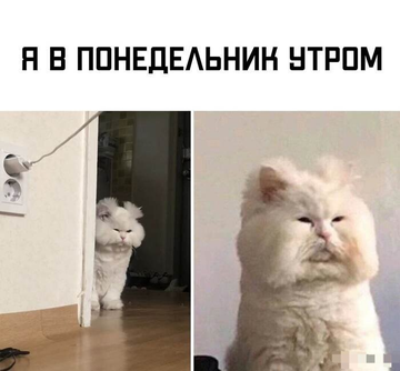 http://upforme.ru/uploads/001a/e5/e0/4/t381847.png