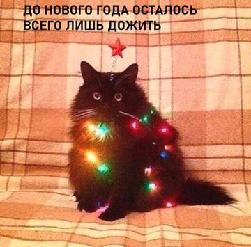 http://upforme.ru/uploads/001a/e5/e0/4/t481944.jpg