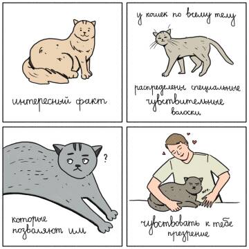 http://upforme.ru/uploads/001a/e5/e0/4/t56048.jpg