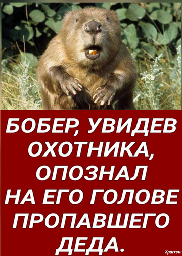 http://upforme.ru/uploads/001a/e5/e0/4/t566040.png