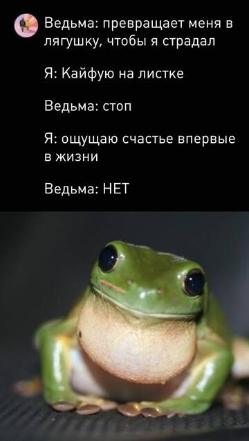 http://upforme.ru/uploads/001a/e5/e0/4/t727281.jpg
