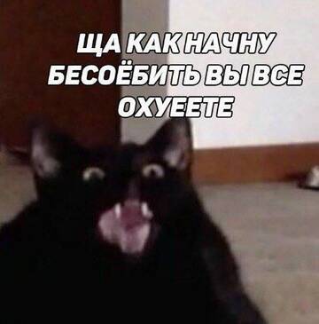 http://upforme.ru/uploads/001a/e5/e0/4/t73560.jpg