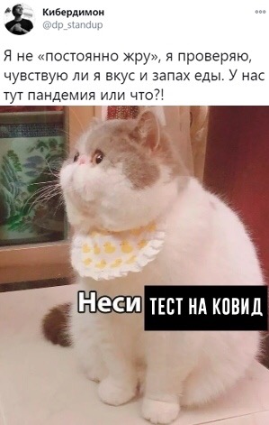 http://upforme.ru/uploads/001a/e5/e0/4/t740706.jpg