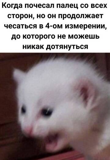http://upforme.ru/uploads/001a/e5/e0/4/t80437.jpg