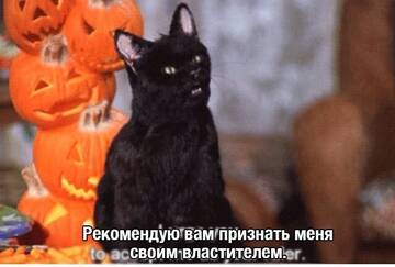 http://upforme.ru/uploads/001a/e5/e0/4/t839757.jpg