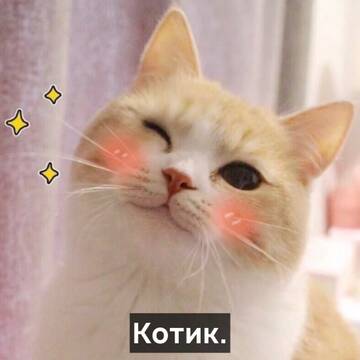 http://upforme.ru/uploads/001a/e5/e0/4/t859192.jpg