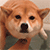 http://upforme.ru/uploads/001a/e6/71/4/30592.gif