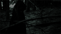 http://upforme.ru/uploads/001a/ef/8f/5/705517.gif
