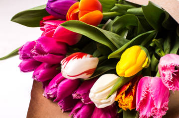 http://upforme.ru/uploads/001a/f0/62/10/t63166.jpg