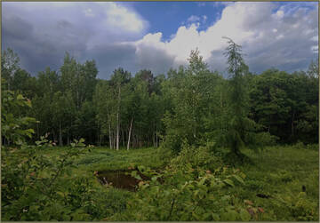 http://upforme.ru/uploads/001a/f0/62/2/t505879.jpg