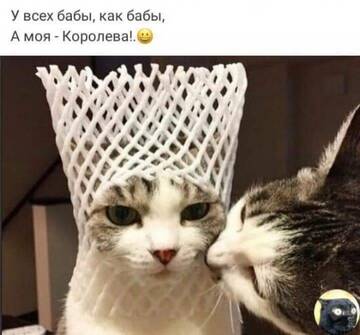 http://upforme.ru/uploads/001a/f0/62/2/t671779.jpg