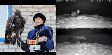 http://upforme.ru/uploads/001a/f0/62/2/t740210.jpg