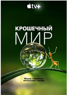 http://upforme.ru/uploads/001a/f0/62/2/t756247.jpg