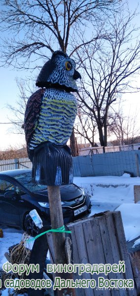 http://upforme.ru/uploads/001a/f0/62/2/t851531.jpg