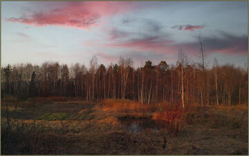 http://upforme.ru/uploads/001a/f0/62/2/t954568.jpg