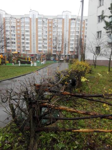 http://upforme.ru/uploads/001a/f0/62/3/t153107.jpg