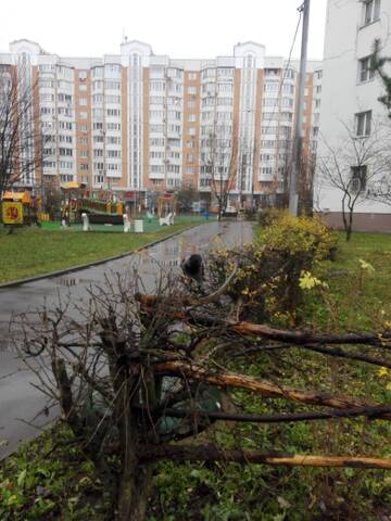http://upforme.ru/uploads/001a/f0/62/3/t270617.jpg